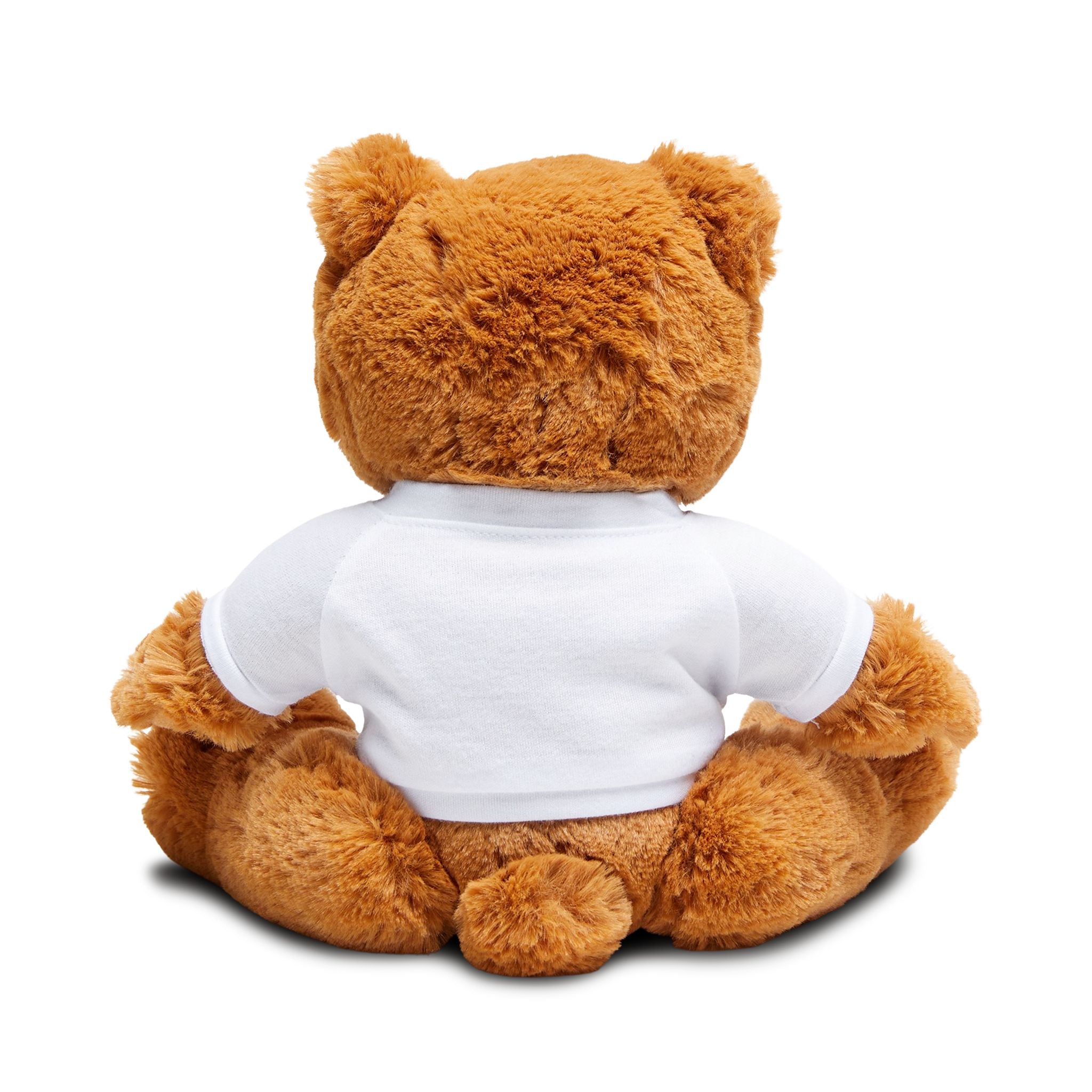 Rescued Queen Teddy Bear — Plush Bear with Bow Tie & Printed T‑Shirt