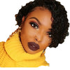 Natural Curly Bob Lace Front Wig with HD Transparency